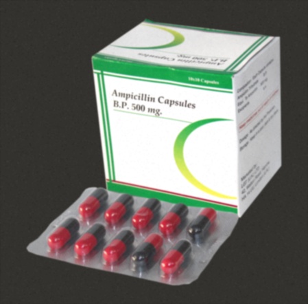 ampicillin