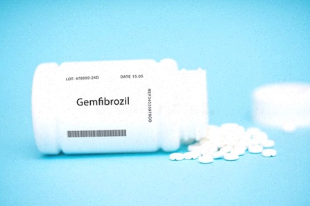 gemfibrozil